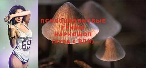 спиды Волосово