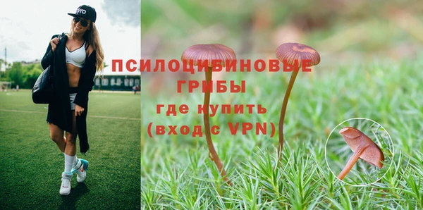 спиды Волосово