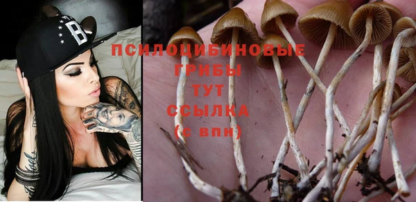 спиды Волосово