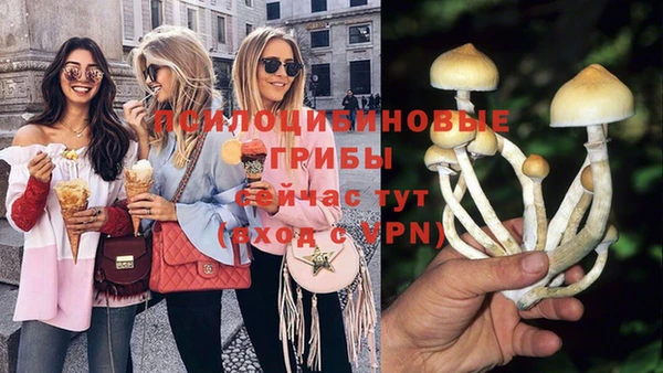 спиды Волосово