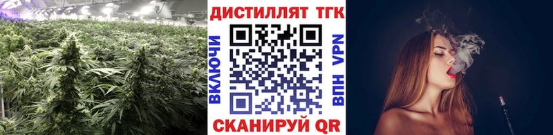 Купить закладки  Плавск  ТГК вейп 