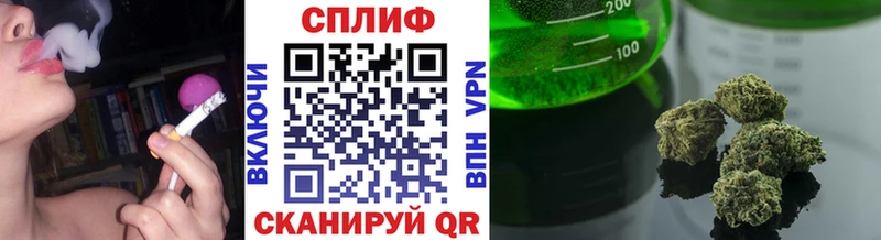 Купить закладки  Плавск  Канабис сатива 